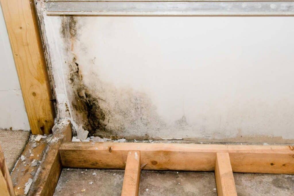 Wall with visible mold growth and water damage