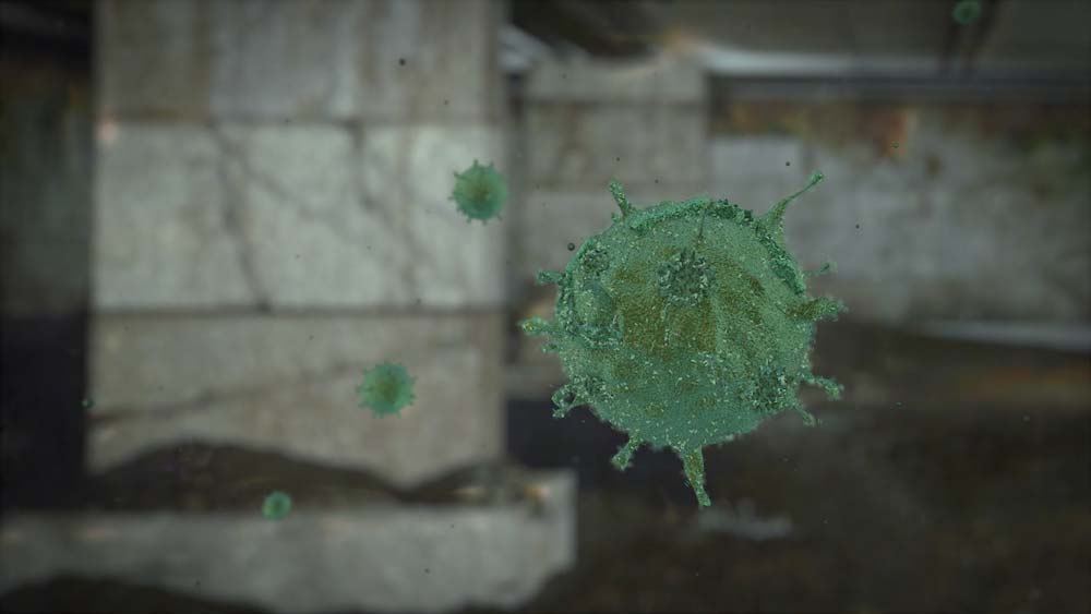 mold, mildew, and dust mites