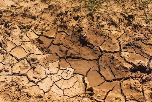 Extreme Heat Waves And Drought